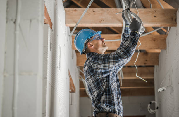 Best Licensed Electrician  in Le Sueur, MN